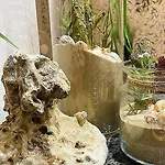 Bed & Breakfast Great Polonia Ustka